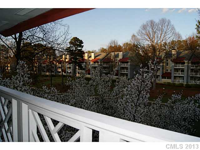 19823 Henderson E Rd #E, Cornelius, NC 28031 photo 13