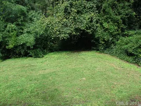 300 S Thompson St, Davidson, NC 28036 photo 15