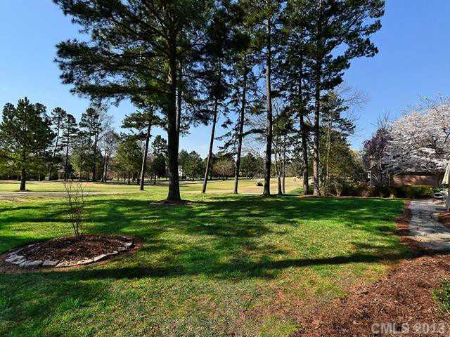 13400 Robert Walker Dr, Davidson, NC 28036 photo 15