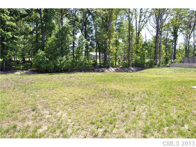 205 Lind Point Ln, Monroe, NC 28110 photo 15