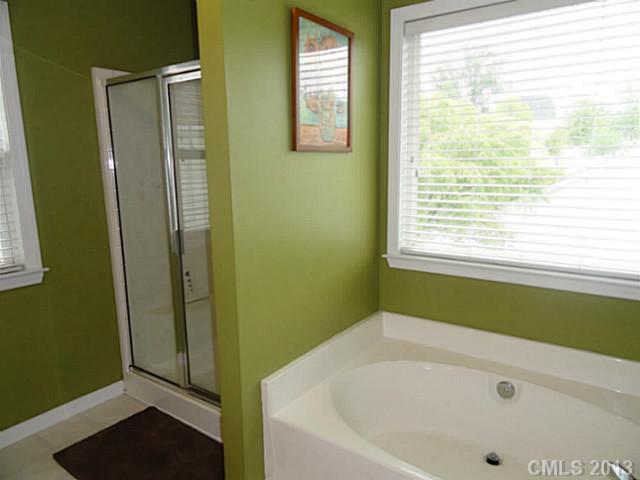 10030 Switchyard Dr, Cornelius, NC 28031 photo 10
