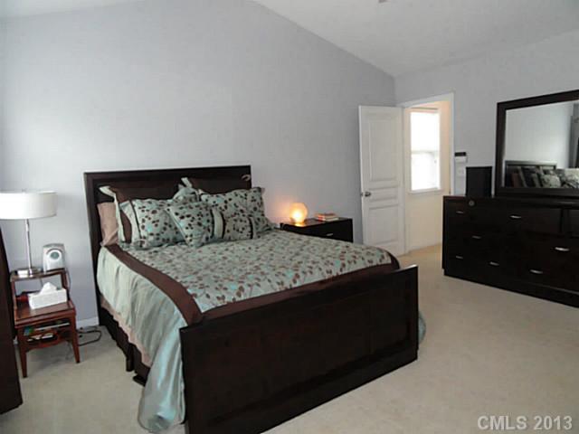 10030 Switchyard Dr, Cornelius, NC 28031 photo 8