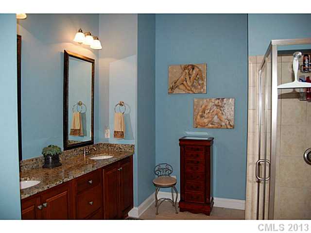 104 Iris Meadow Dr, Mooresville, NC 28115 photo 13