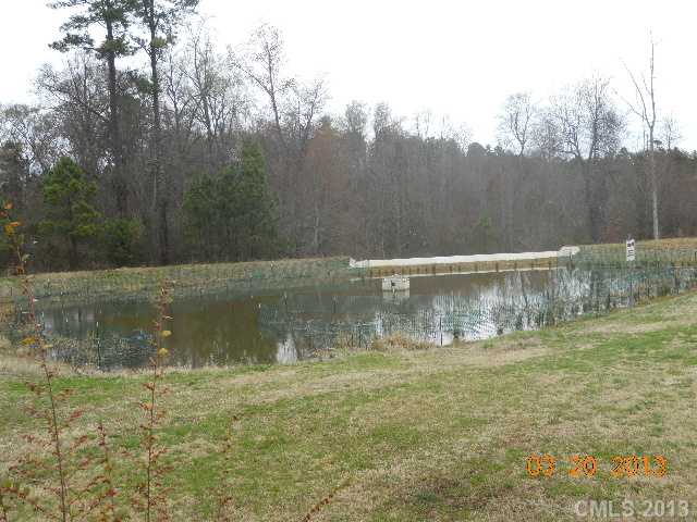 20313 Harroway Dr, Cornelius, NC 28031 photo 14