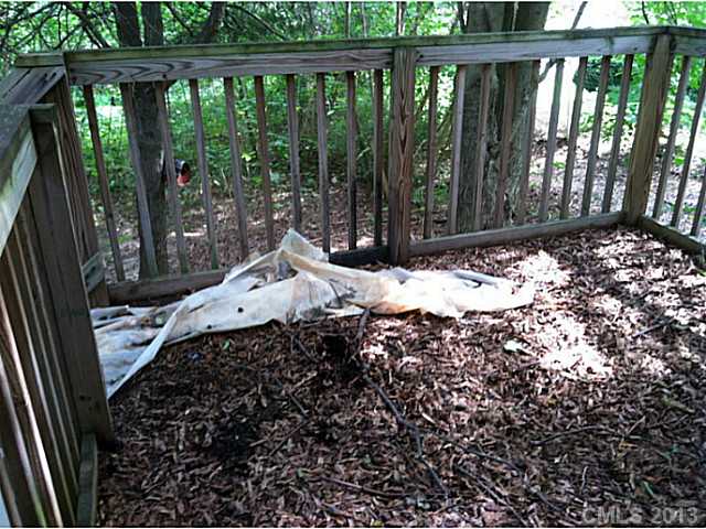 210 Crane St, Davidson, NC 28036 photo 9