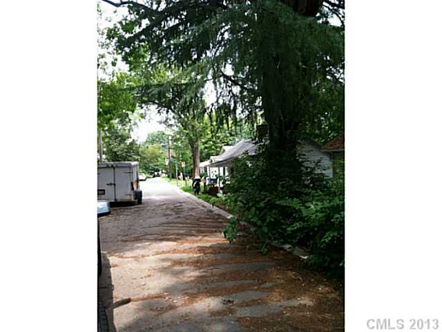 210 Crane St, Davidson, NC 28036 photo 10