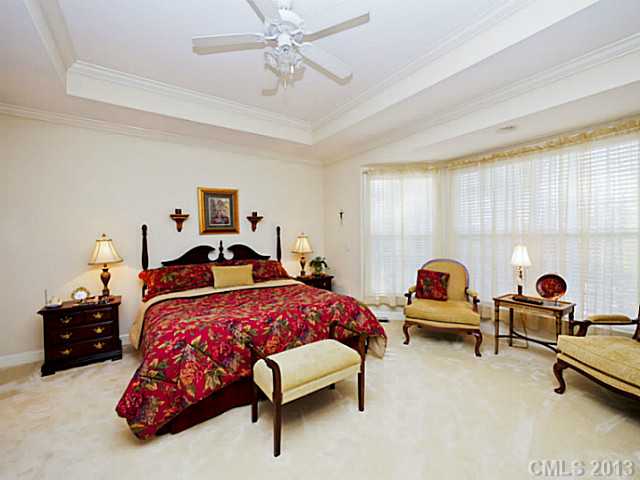 278 Harper Lee St, Davidson, NC 28036 photo 11