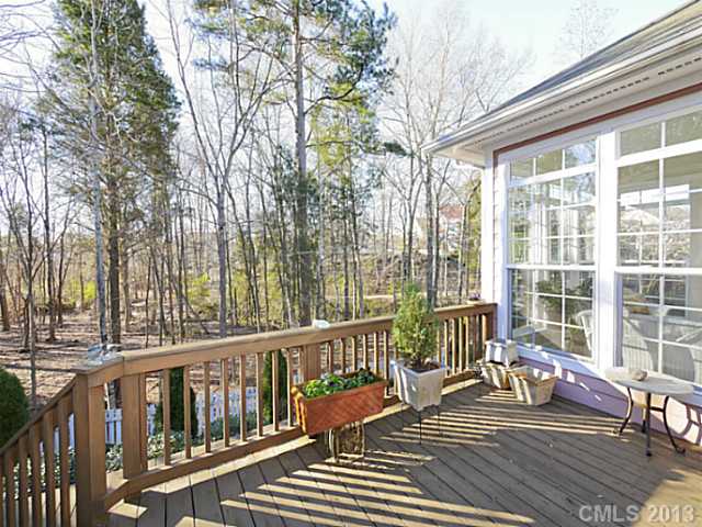 278 Harper Lee St, Davidson, NC 28036 photo 12