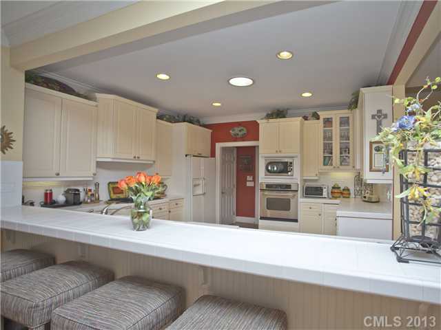 17407 Summer Place Dr, Cornelius, NC 28031 photo 2