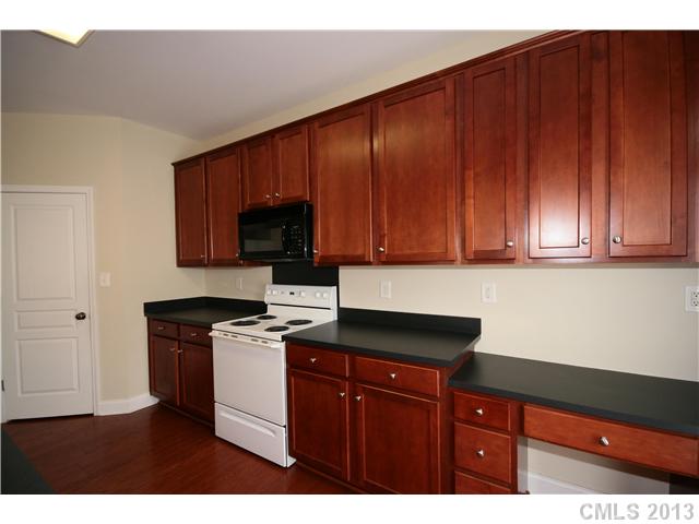 18731 Ronceverte Dr, Cornelius, NC 28031 photo 7
