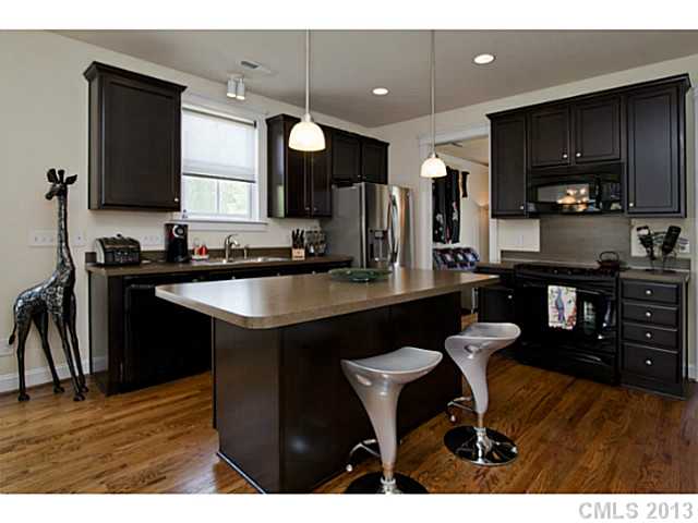 16459 Leavitt Ln, Davidson, NC 28036 photo 8