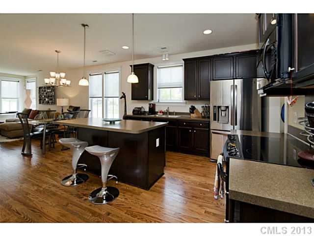 16459 Leavitt Ln, Davidson, NC 28036 photo 9