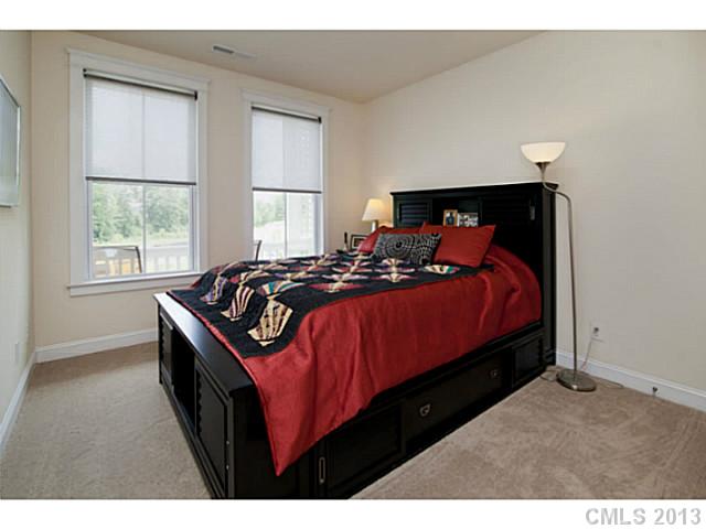 16459 Leavitt Ln, Davidson, NC 28036 photo 12