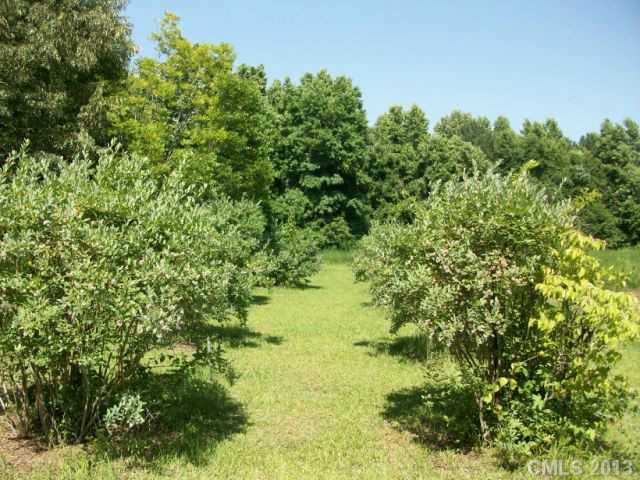 7813 Medlin Rd, Monroe, NC 28112 photo 13