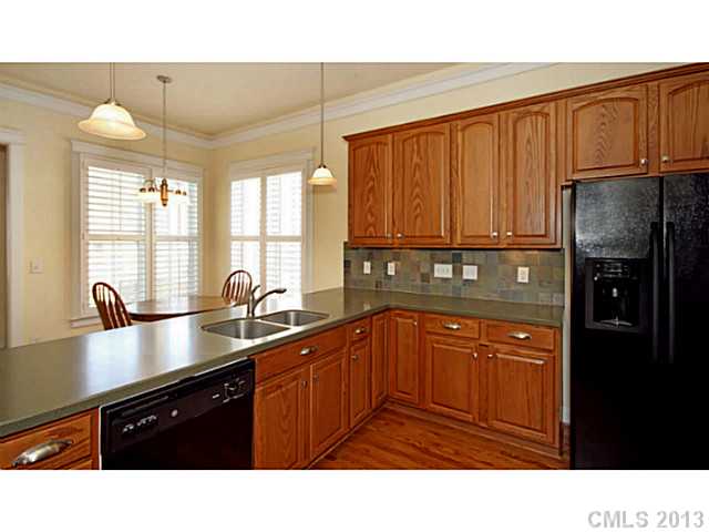 180 Lavender Bloom Loop, Mooresville, NC 28115 photo 6