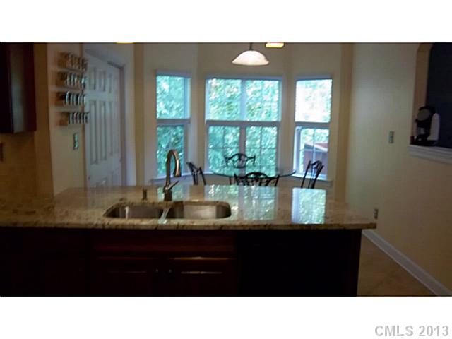 19254 Dutch Iris Ln, Cornelius, NC 28031 photo 6
