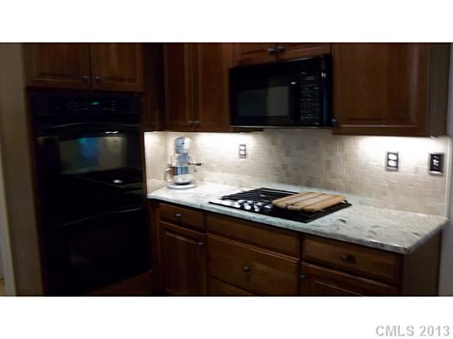 19254 Dutch Iris Ln, Cornelius, NC 28031 photo 7