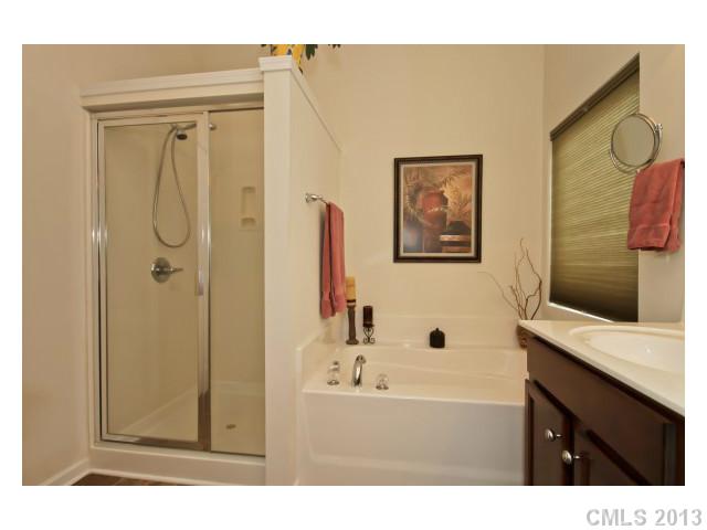 3342 Streamside Dr, Davidson, NC 28036 photo 11