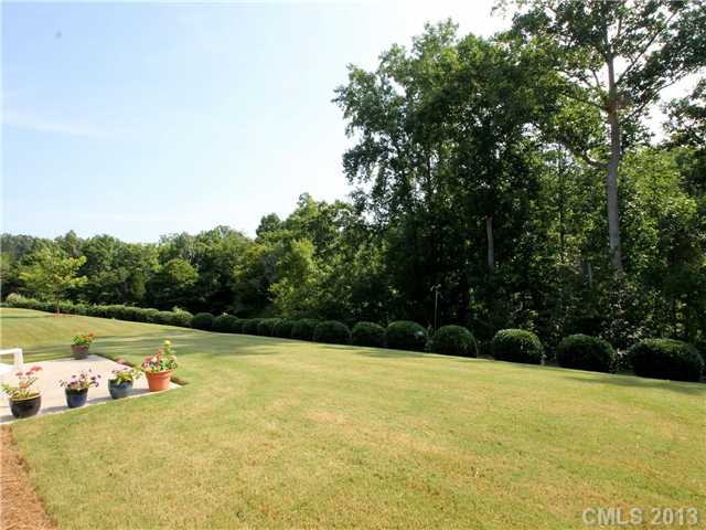 22137 E Tern Ct, Indian Land, SC 29707 photo 2