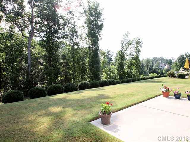 22137 E Tern Ct, Indian Land, SC 29707 photo 16