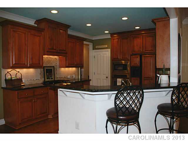 17110 Piermont St, Davidson, NC 28036 photo 6