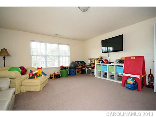 7174 Caley St, Denver, NC 28037 photo 14