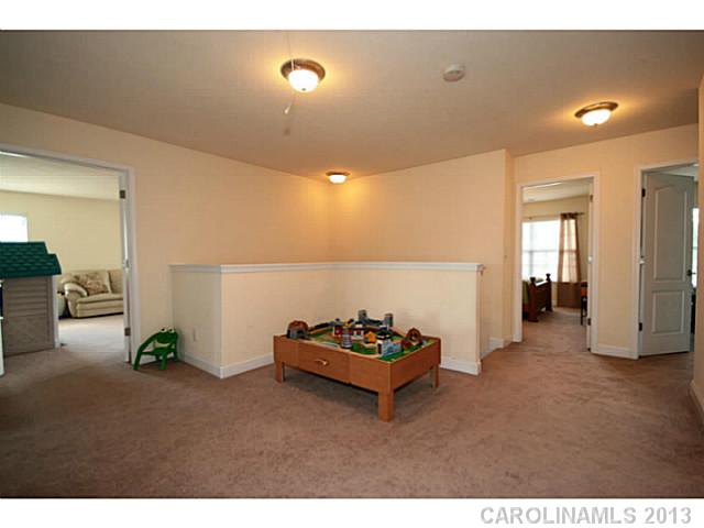 7174 Caley St, Denver, NC 28037 photo 13