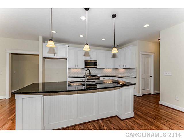 111 Caladium Dr, Mooresville, NC 28115 photo 8