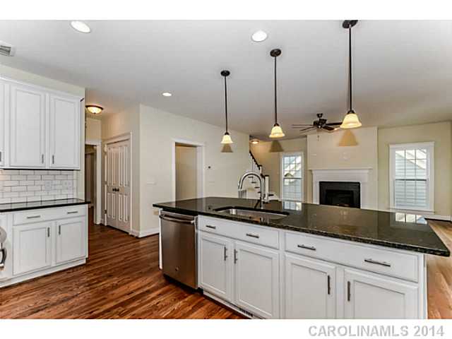 111 Caladium Dr, Mooresville, NC 28115 photo 9