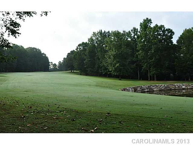 18731 Dembridge Dr, Davidson, NC 28036 photo 15