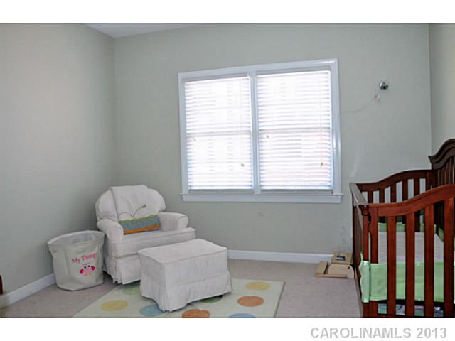 18731 Dembridge Dr, Davidson, NC 28036 photo 9