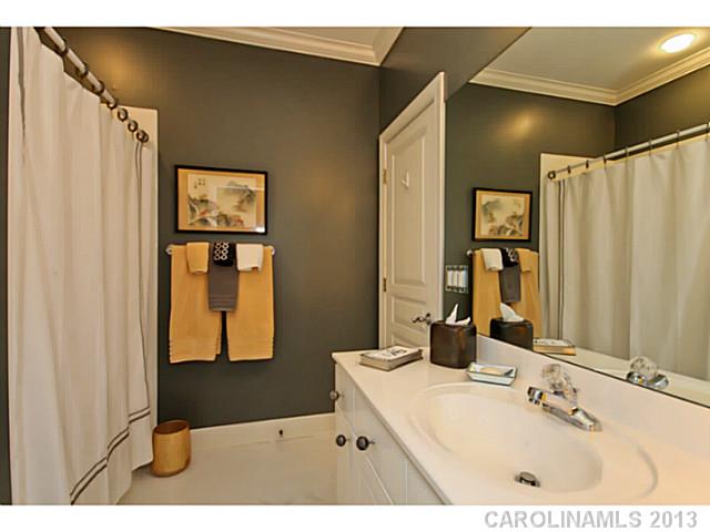 17520 Springwinds Dr, Cornelius, NC 28031 photo 14