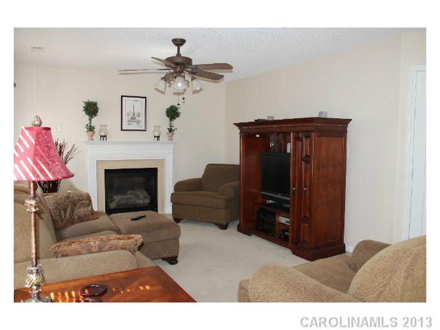 225 Chestnut Ave, Tega Cay, SC 29708 photo 2
