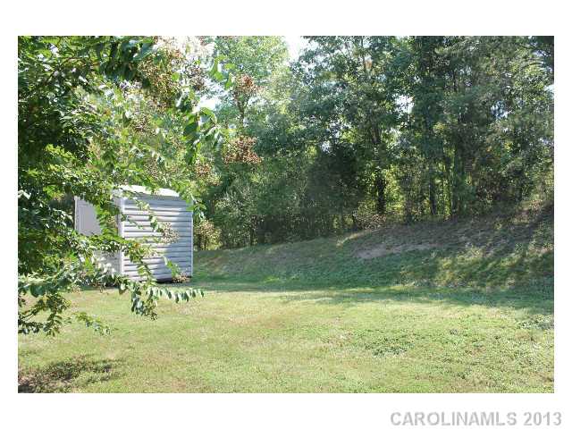 225 Chestnut Ave, Tega Cay, SC 29708 photo 12