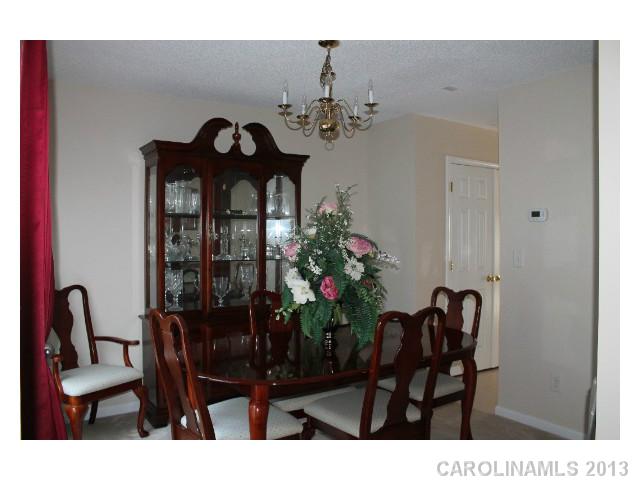 225 Chestnut Ave, Tega Cay, SC 29708 photo 6