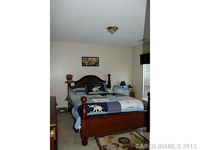 225 Chestnut Ave, Tega Cay, SC 29708 photo 9