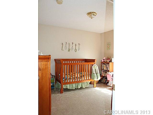 225 Chestnut Ave, Tega Cay, SC 29708 photo 8