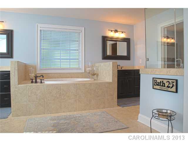 162 Anniston Way, Davidson, NC 28036 photo 11
