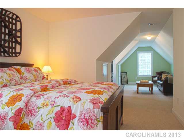 162 Anniston Way, Davidson, NC 28036 photo 12