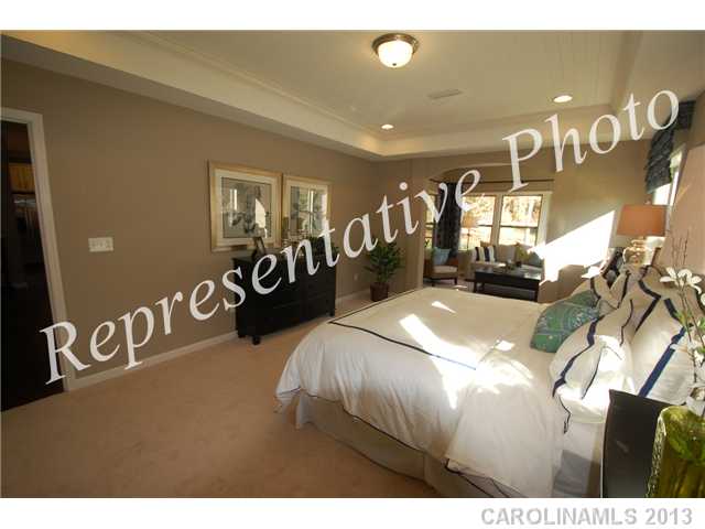 1905 Larkspur St, Tega Cay, SC 29708 photo 7