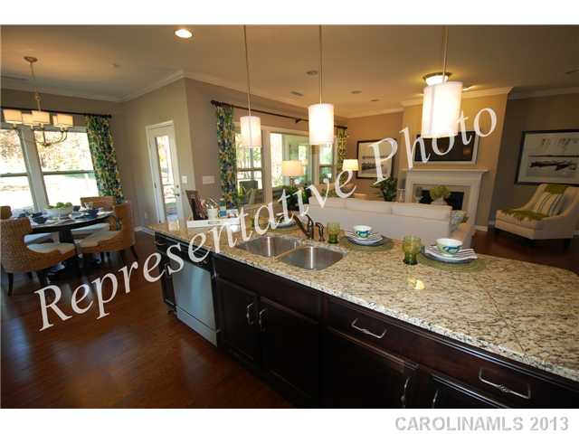 1905 Larkspur St, Tega Cay, SC 29708 photo 5