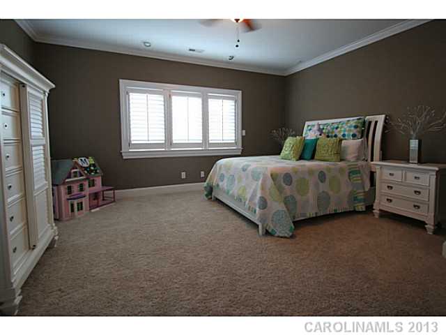 19906 River Falls Dr, Davidson, NC 28036 photo 13