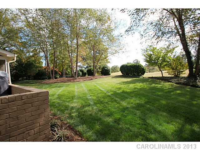 19906 River Falls Dr, Davidson, NC 28036 photo 16