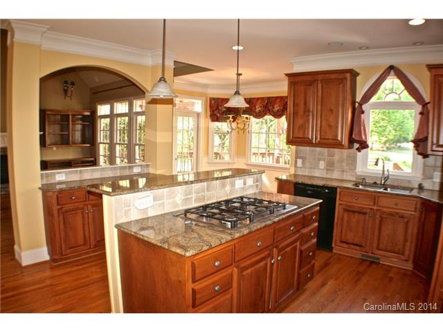 13319 Robert Walker Dr, Davidson, NC 28036 photo 5