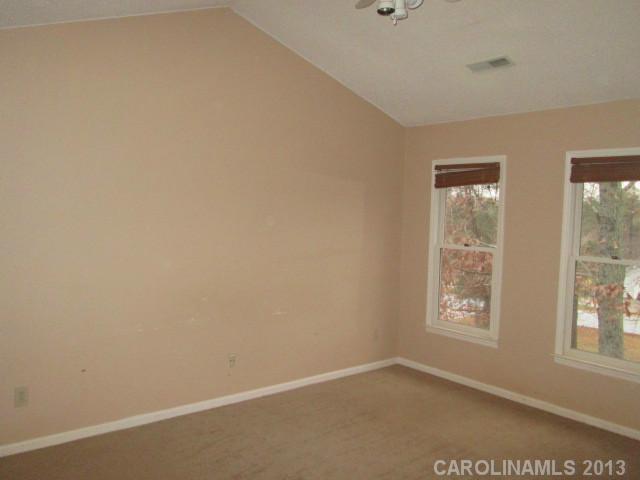 3684 Delling Downs Dr, Denver, NC 28037 photo 9