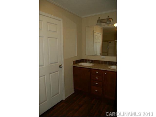10466 Single Tree Ln, Davidson, NC 28036 photo 11