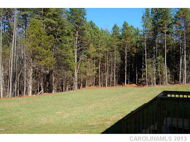 10466 Single Tree Ln, Davidson, NC 28036 photo 3