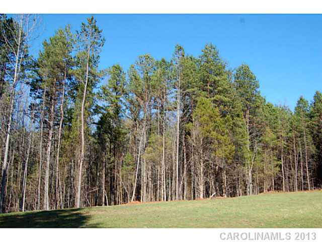 10466 Single Tree Ln, Davidson, NC 28036 photo 16