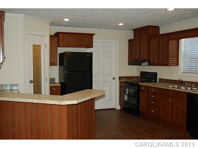 10466 Single Tree Ln, Davidson, NC 28036 photo 4