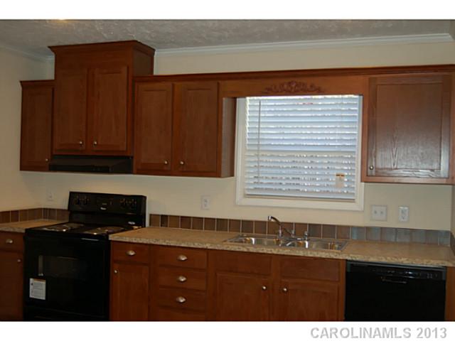 10466 Single Tree Ln, Davidson, NC 28036 photo 6